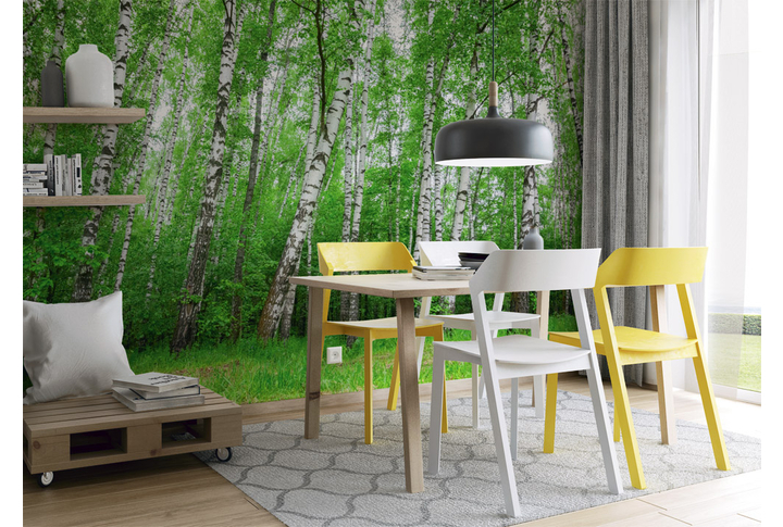 Фотообои «Березовая роща» в интерьере