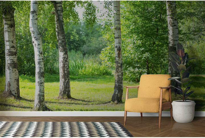 Фотообои «Березовая опушка в лесу» в интерьере