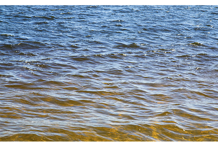 Фотообои «Волнующееся море»