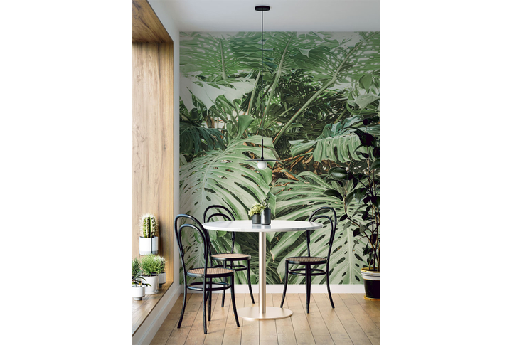 Фотообои «Монстера - большие тропические листья» в интерьере