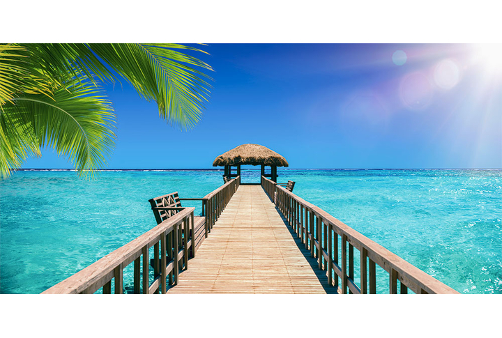 Фотообои «Морская панорама с пальмовыми листьями»