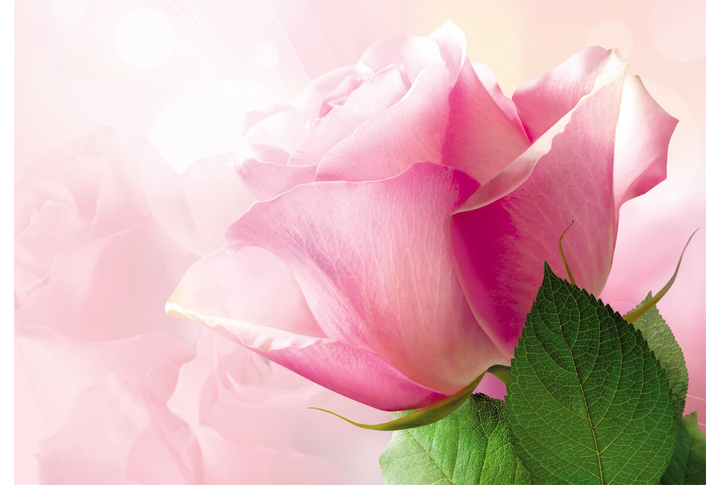 Фотообои «Очарование»