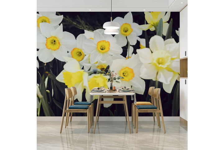 Фотообои «Яркие нарциссы» в интерьере