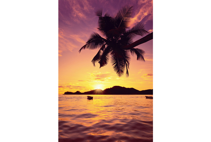 Фотообои «Пальма и тропический закат на море»