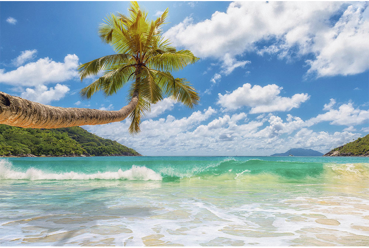 Фотообои «Пальма и море, красивые облака над морским пейзажем»