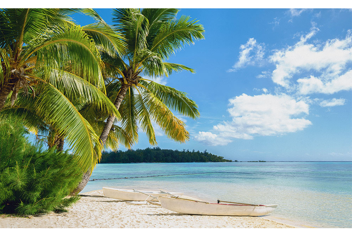 Фотообои «Морской пляж с пальмами и лодочкой»
