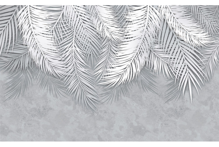 Фотообои «Серые ветки пальмы на бетонном фоне»