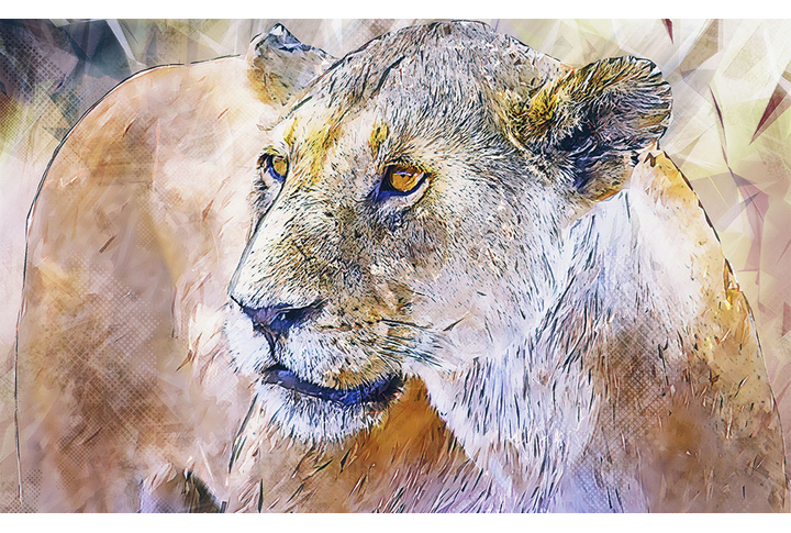 Фотообои «Арт с львицей»