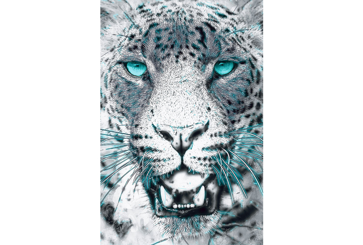 Фотообои «Чёрно-белый леопард с бирюзовым акцентом»