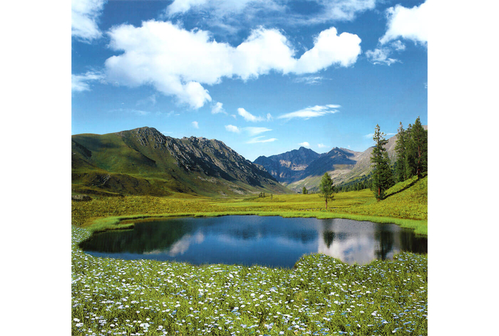 Фотообои «Озеро в цветах»