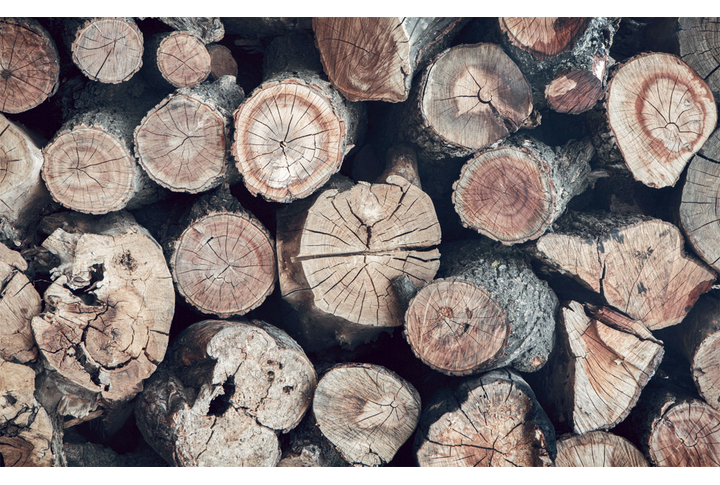 Фотообои «Деревянная кладка из бревен в разрезе»