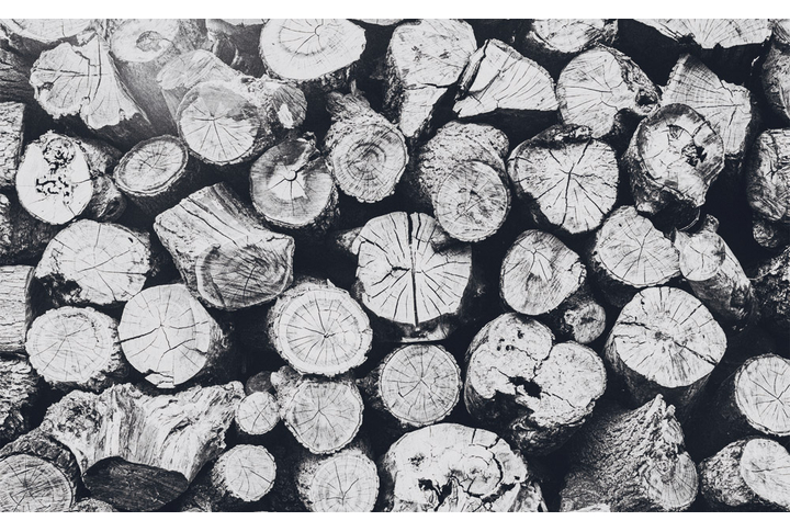 Фотообои «Бревна в черно-белых тонах»