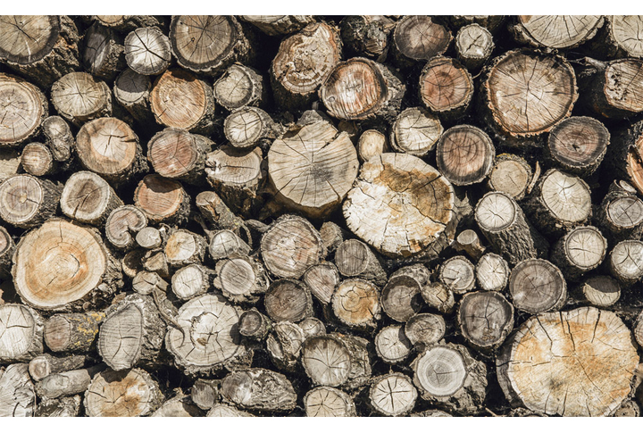 Фотообои «Старые бревна поленницей»