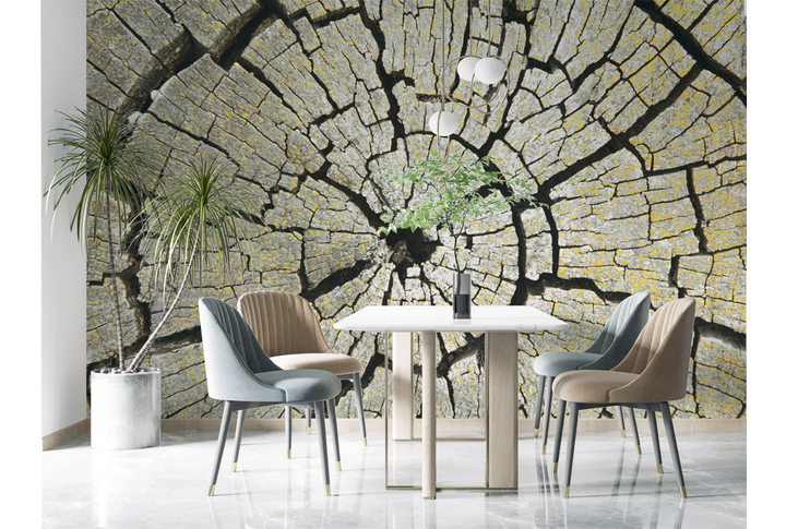 Фотообои «Спил старого дерева» в интерьере