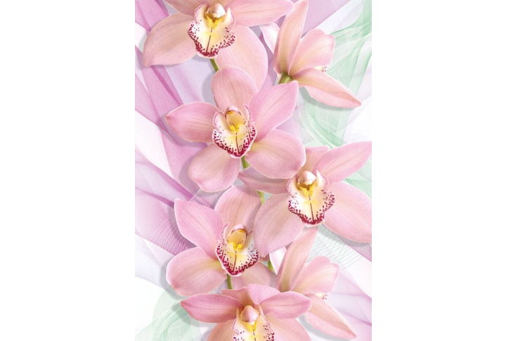 Фотообои «Орхидеи»