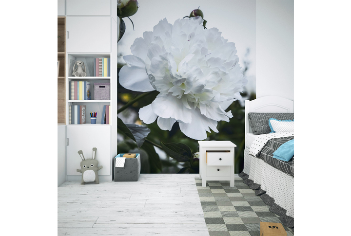 Фотообои «Белый цветок пиона» в интерьере