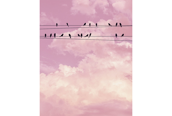 Фотообои «Сиреневые облака и провода»