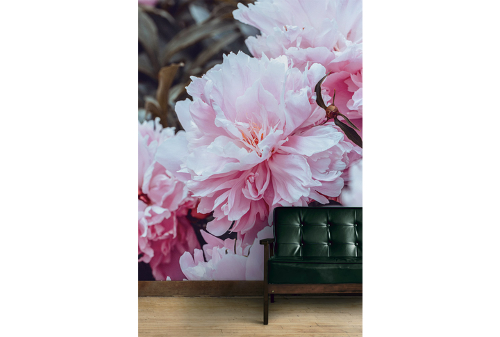 Фотообои «Большие цветы розовых пионов» в интерьере