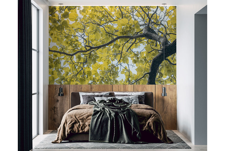 Фотообои «Крона дерева» в интерьере