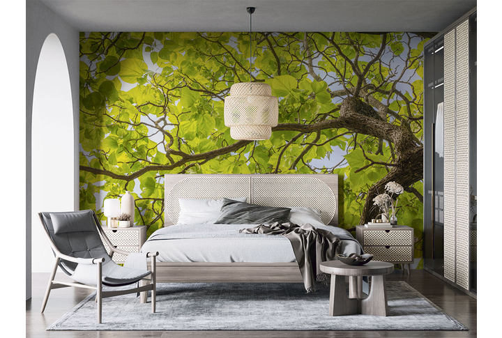 Фотообои «Зеленое дерево» в интерьере