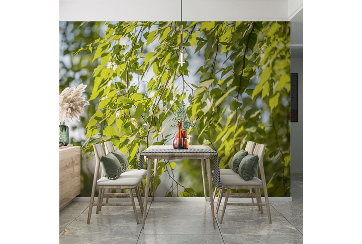 Фотообои «Ветки березы с молодой листвой» в интерьере