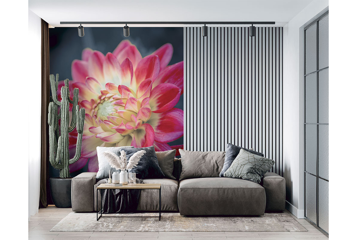 Фотообои «Цветение георгины» в интерьере