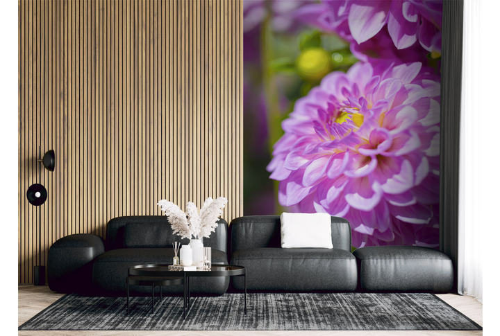 Фотообои «Нежные цветы георгины» в интерьере