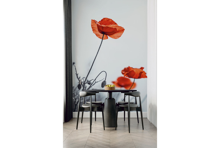 Фотообои «Алые маки в черно-белом» в интерьере
