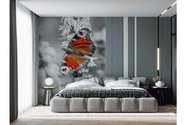 Фотообои «Бабочка павлиний глаз» в интерьере