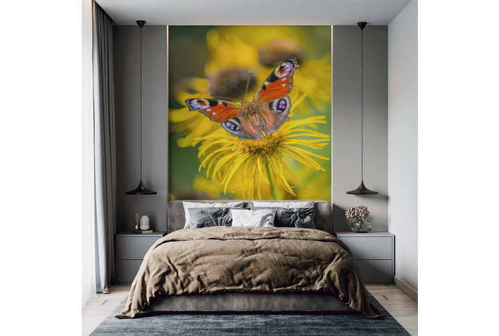 Фотообои «Красивая бабочка в желтых цветах» в интерьере