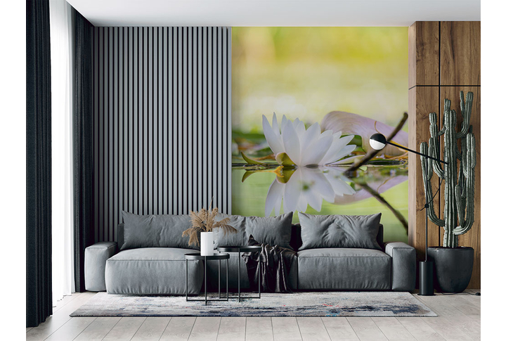 Фотообои «Белый лотос на озере» в интерьере