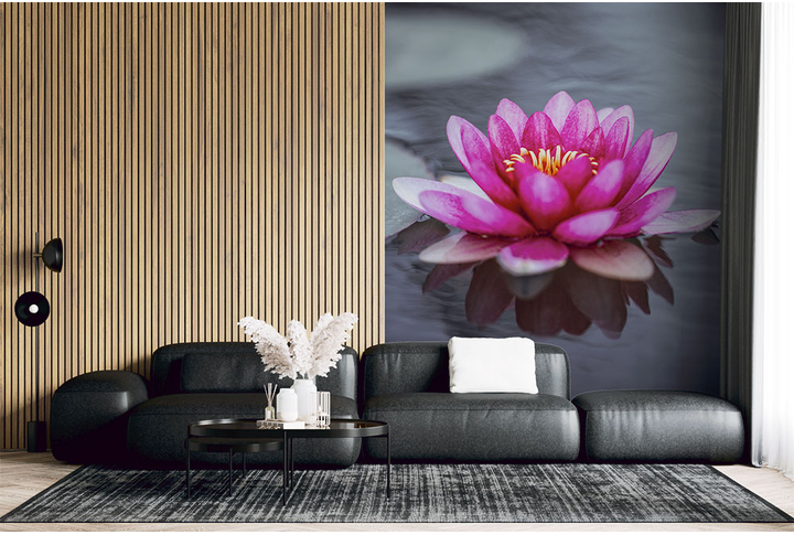 Фотообои «Большой цветок лотоса» в интерьере