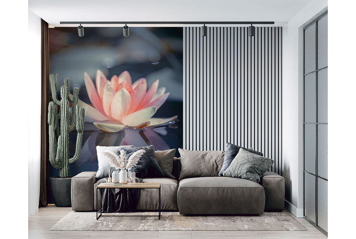 Фотообои «Розовый лотос» в интерьере