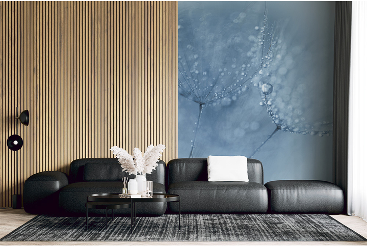 Фотообои «Зонтики одуванчика в росе» в интерьере