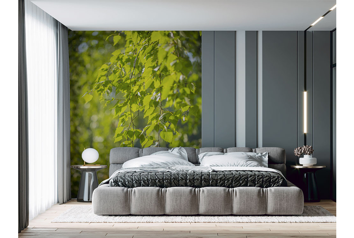 Фотообои «Березовые зеленые ветки с листьями» в интерьере