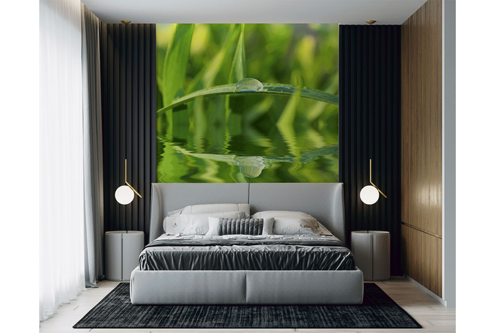 Фотообои «Зеленая трава в каплях росы» в интерьере