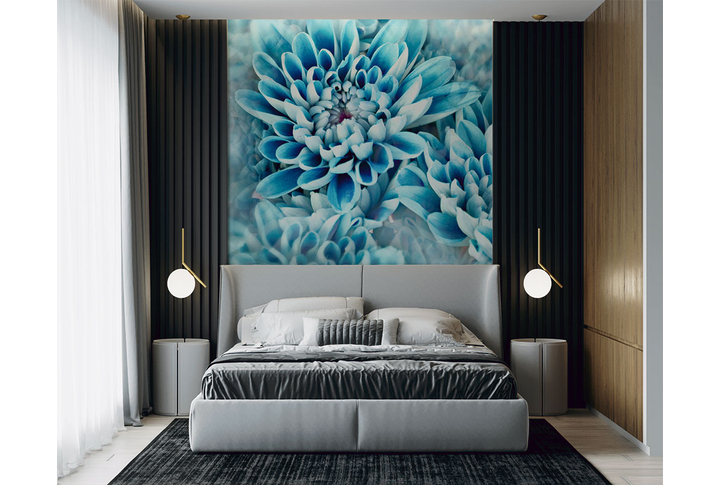 Фотообои «Бирюзовые цветы хризантемы» в интерьере