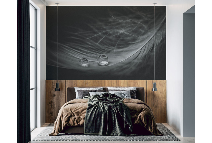 Фотообои «Капли воды на перышке» в интерьере