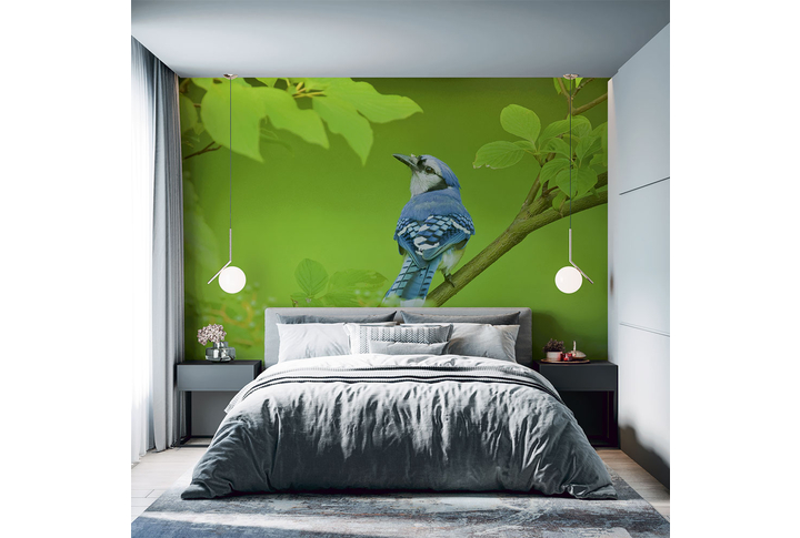 Фотообои «Птичка в листве» в интерьере