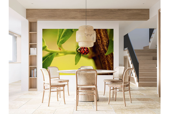 Фотообои «Божья коровка на ветке дерева» в интерьере