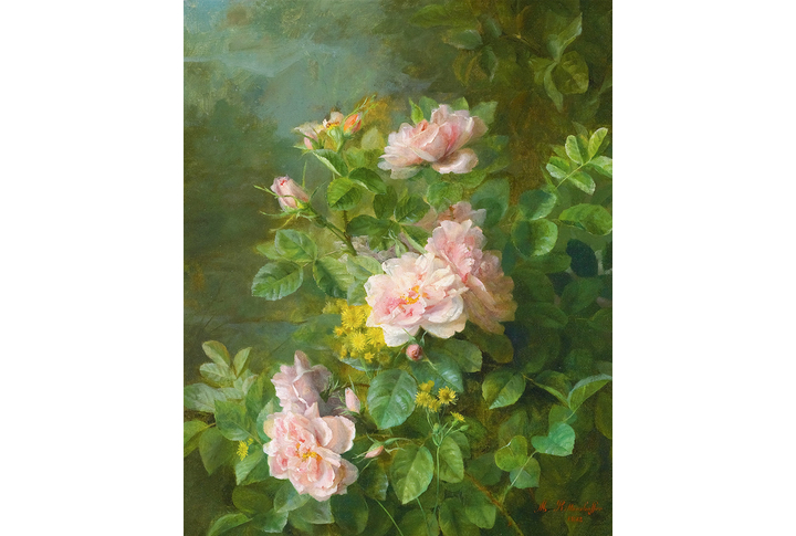 Фотообои «Картина с кустом розы»