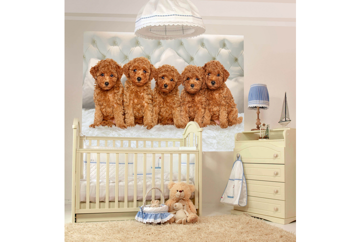 Фотообои «Верные друзья» в интерьере