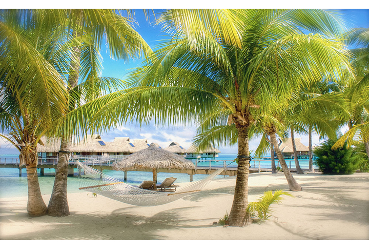 Фотообои «Тропический морской пальмовый пляж»