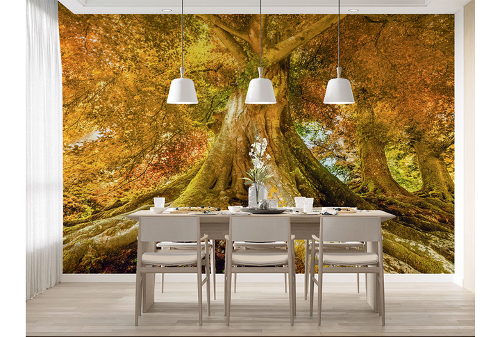 Фотообои «Высокое дерево в осеннем лесу» в интерьере