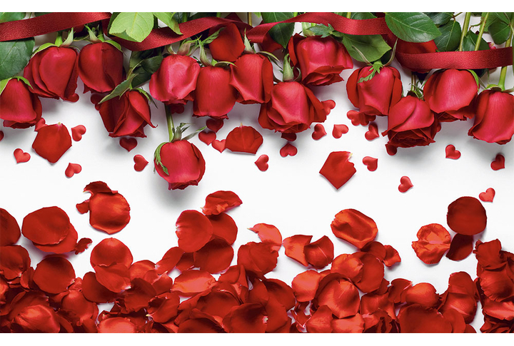 Фотообои «Красные розы с падающими лепестками»