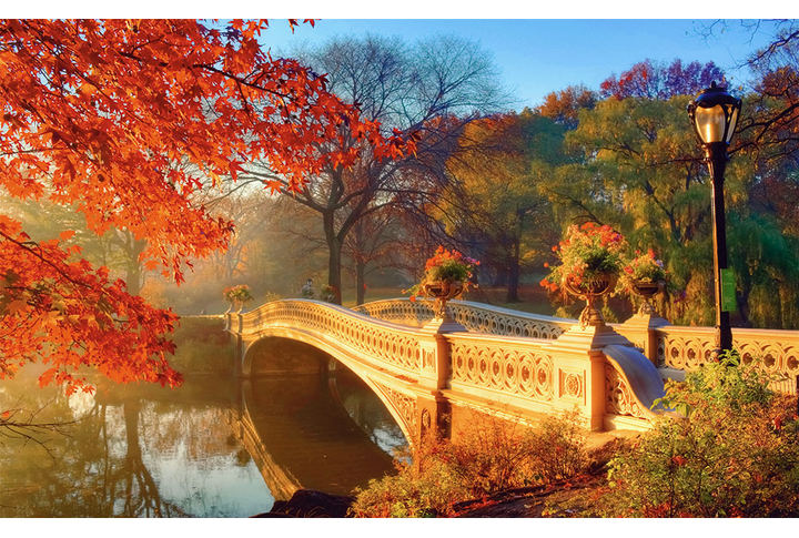 Фотообои «Мост в парке Нью-Йорка»