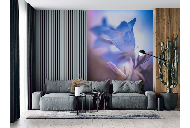 Фотообои «Цветок колокольчика» в интерьере