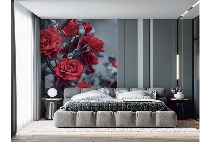Фотообои «Красные розы в саду на черно-белом» в интерьере