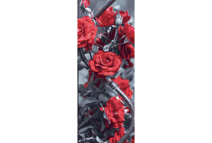 Фотообои «Красные розы на черно-белом»