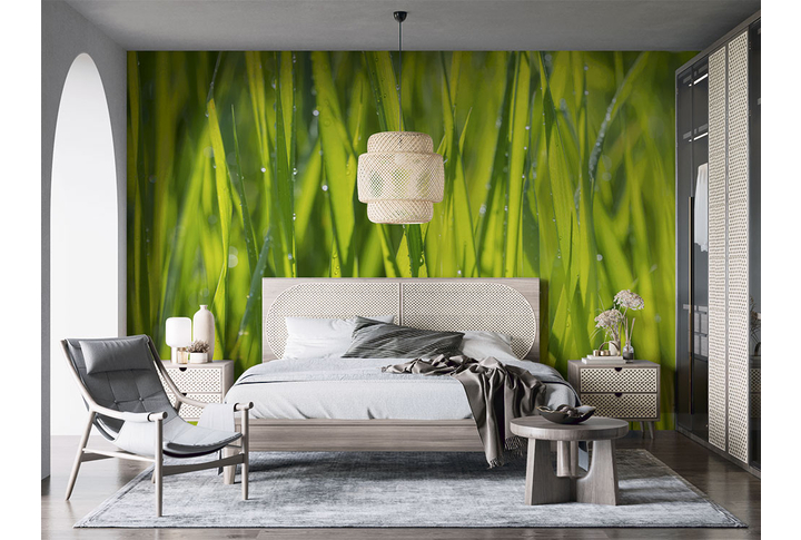 Фотообои «Летняя трава в каплях росы» в интерьере